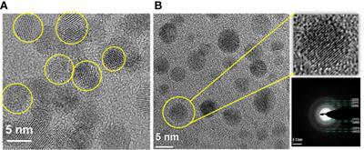 Nanosilk Increases the Strength of Diabetic Skin and Delivers CNP-miR146a to Improve Wound Healing